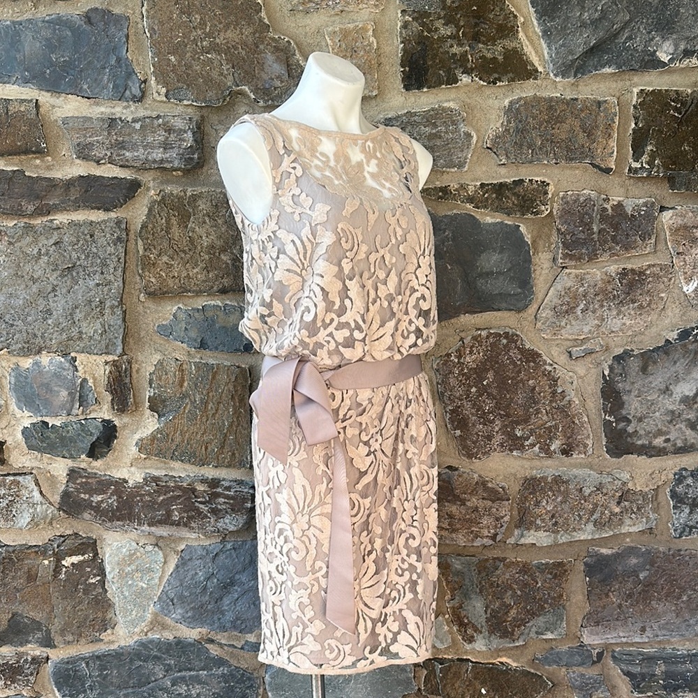 Tadashi Shoji Lace Overlay Dress Beige Nude Blouson Waist Size 8 Cocktail - Picture 4 of 7